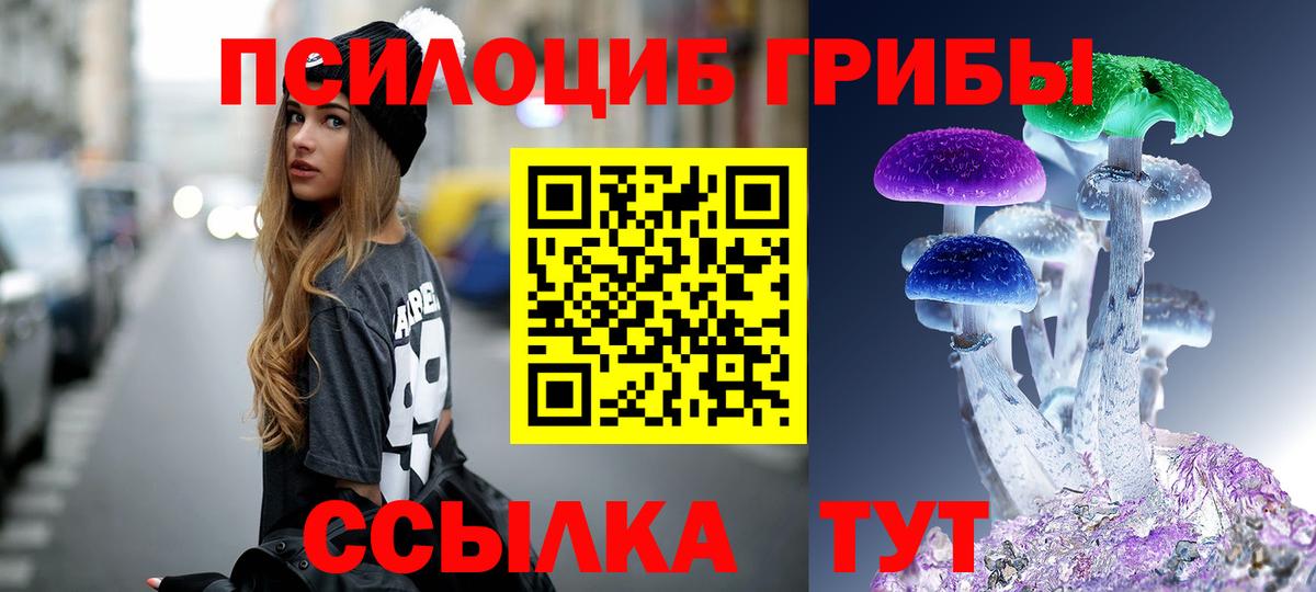 Псилоцибиновые грибы прущие грибы Туапсе