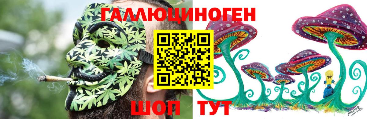 Галлюциногенные грибы Magic Shrooms  Вход с VPN  Псилоцибиновые грибы GOLDEN TEACHER  Туапсе 